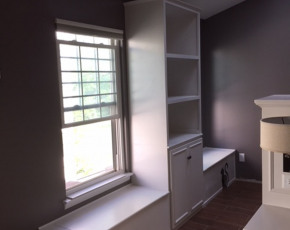 Built-In Bookshelves w/ Kitty Doors